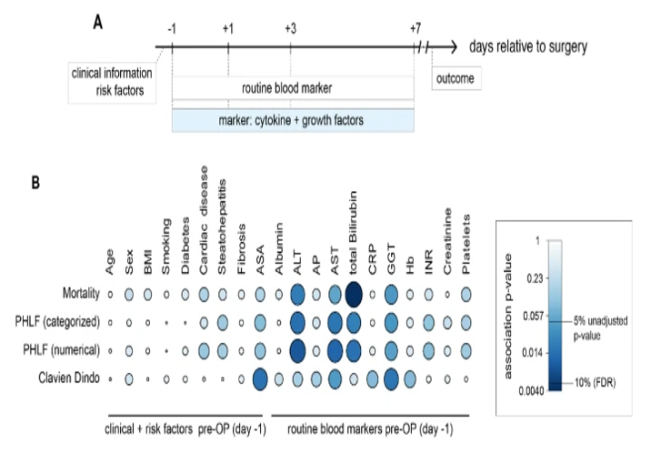  پیش بینی بازسازی کبد پس از برداشتن بخش عمده